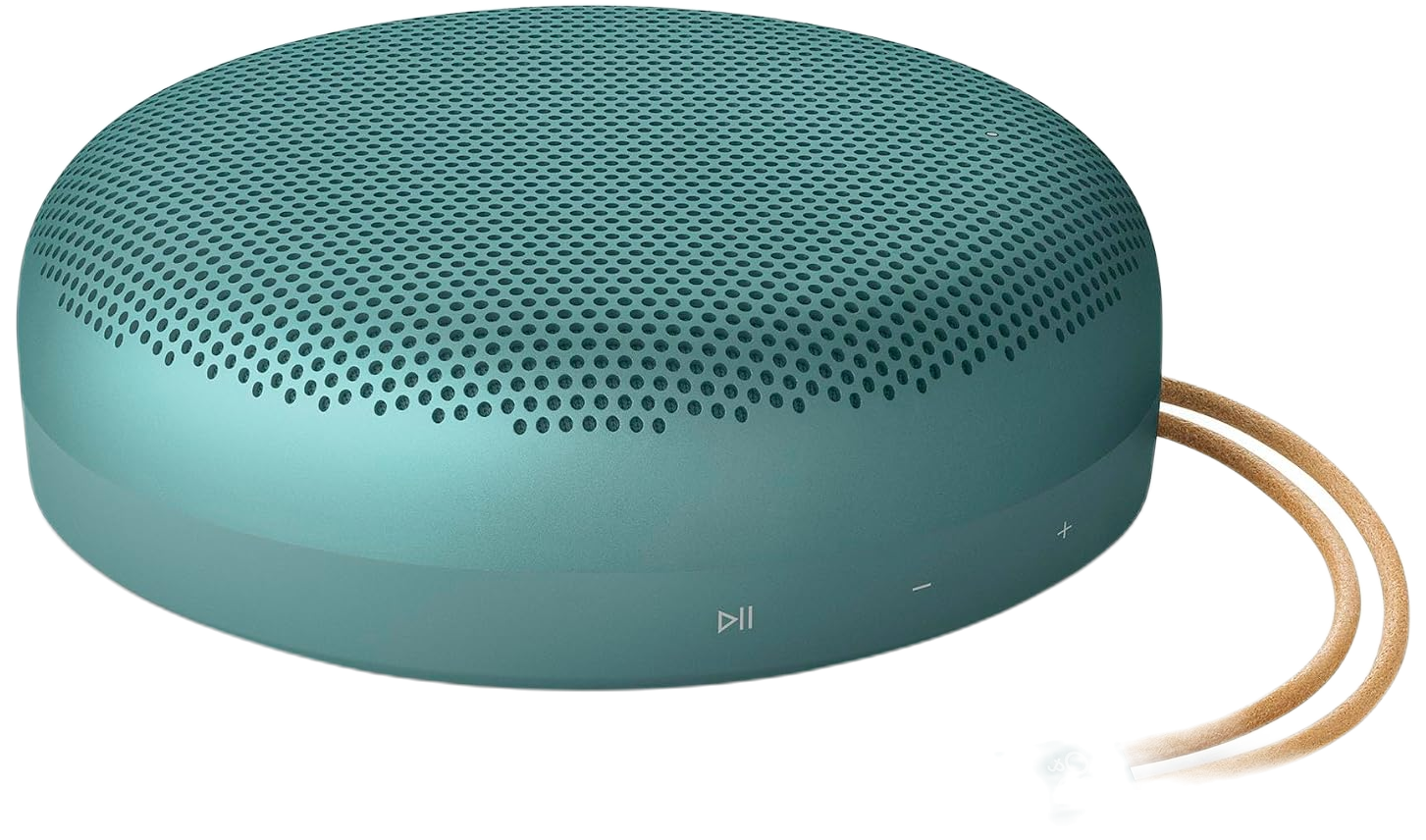 Bang & Olufsen Beosound A1 (3rd Gen)