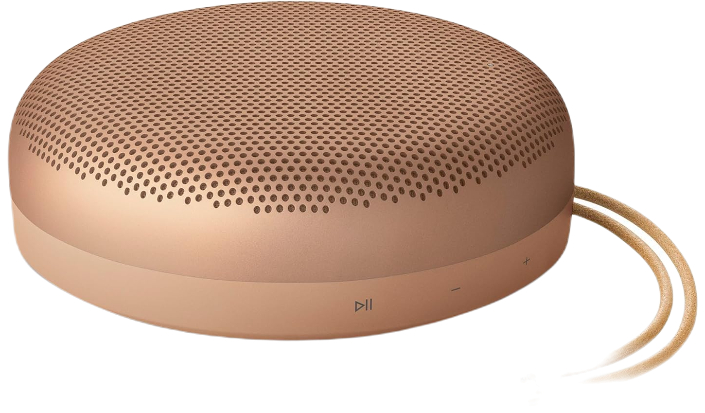 Bang & Olufsen Beosound A1 (3rd Gen)