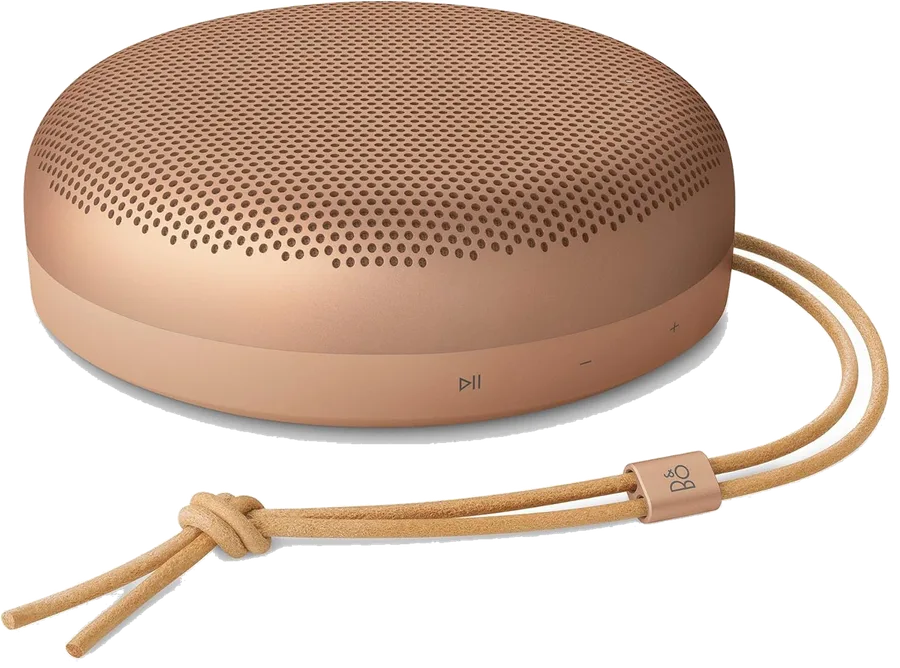 Bang & Olufsen Beosound A1 (3rd Gen)