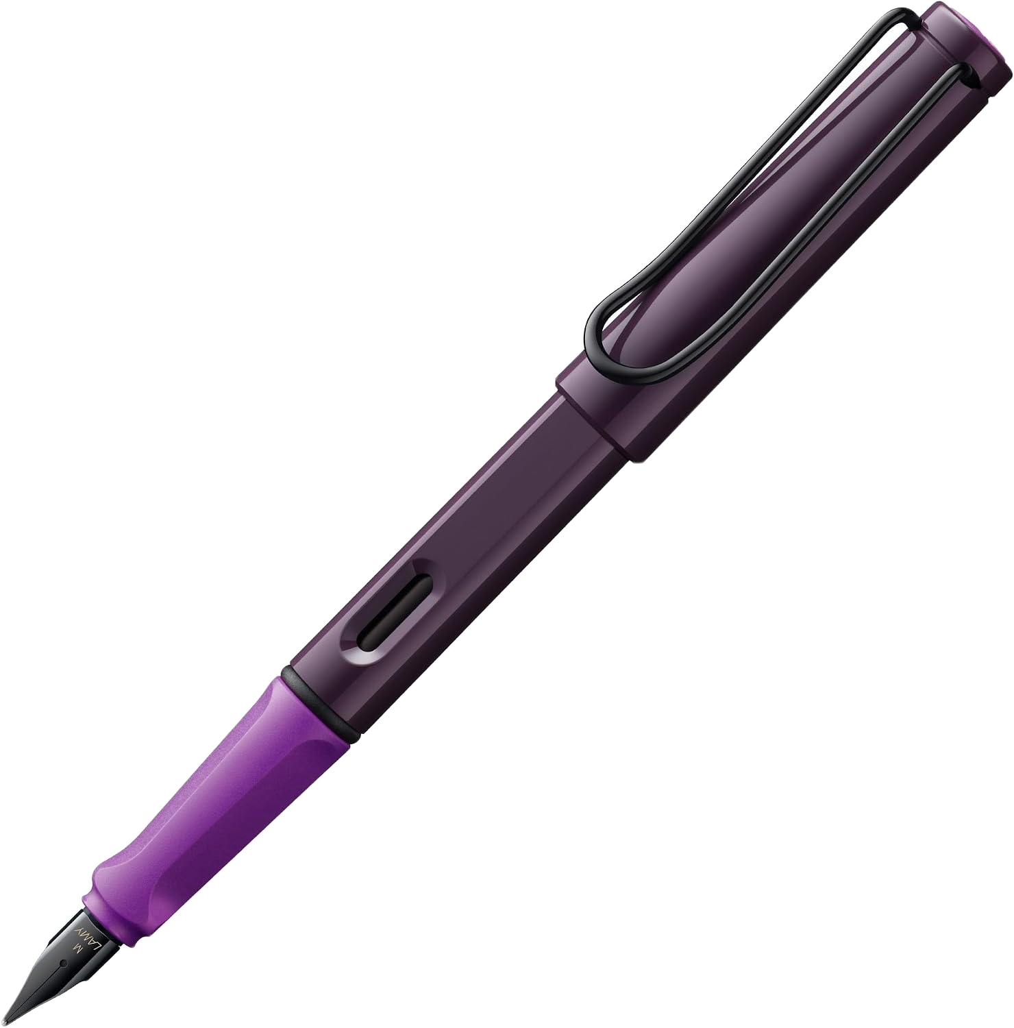 Lamy Safari Fountain Pen