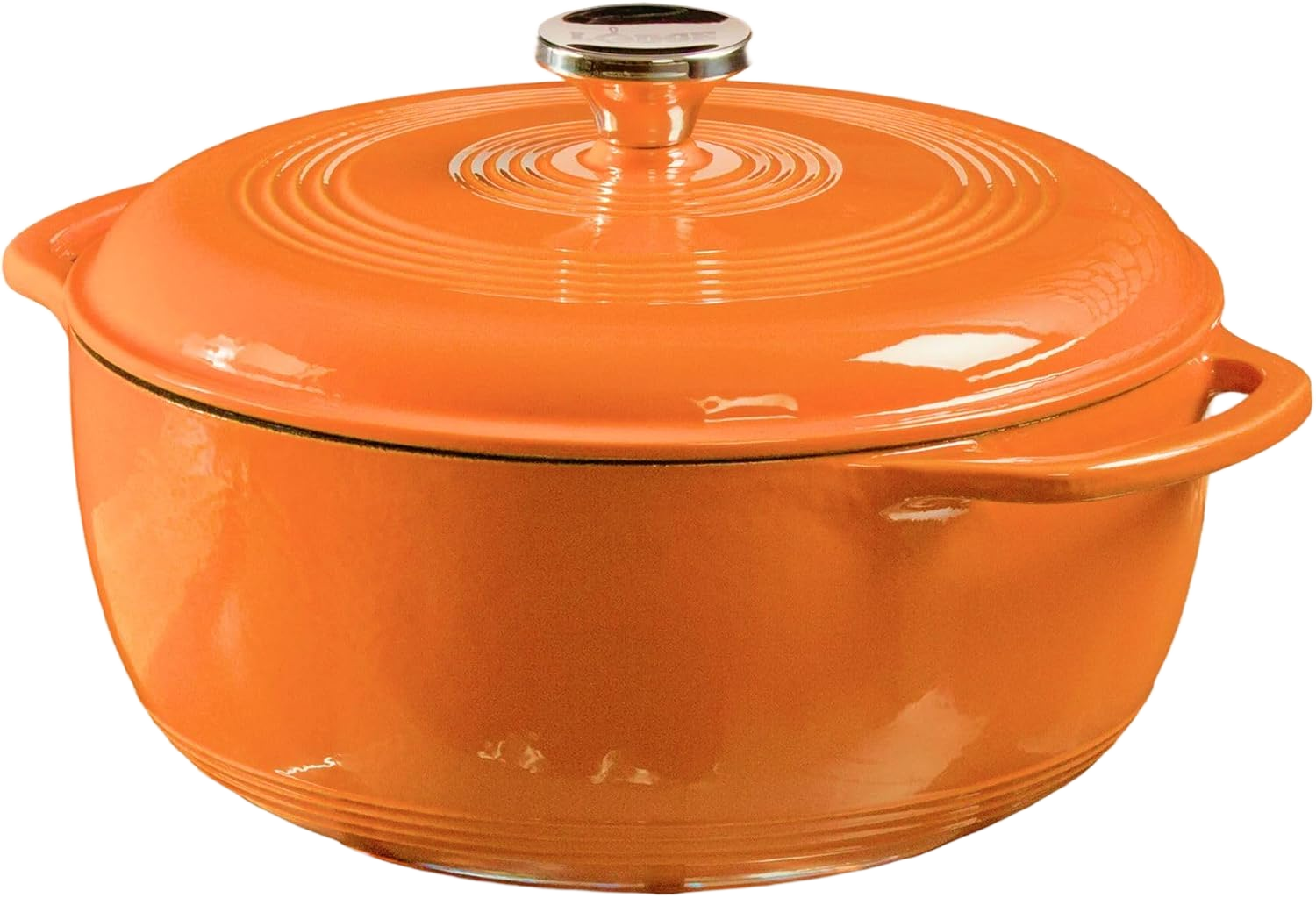 Lodge Enameled Cast Iron Dutch Oven