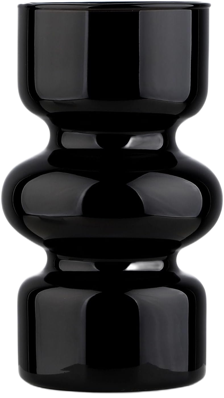VanEnjoy Hydroponic Glass Vase