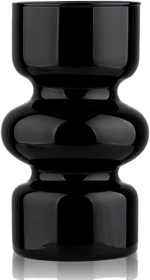 VanEnjoy Hydroponic Glass Vase