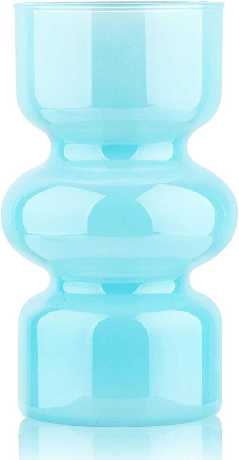 VanEnjoy Hydroponic Glass Vase