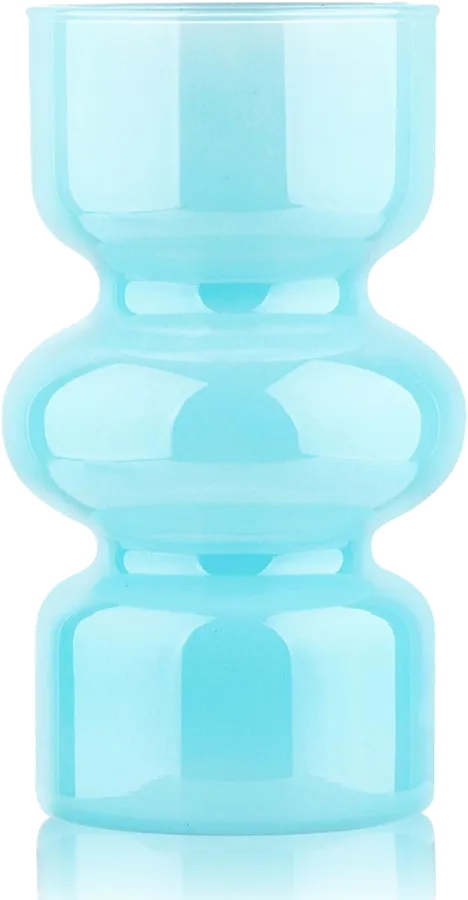 VanEnjoy Hydroponic Glass Vase