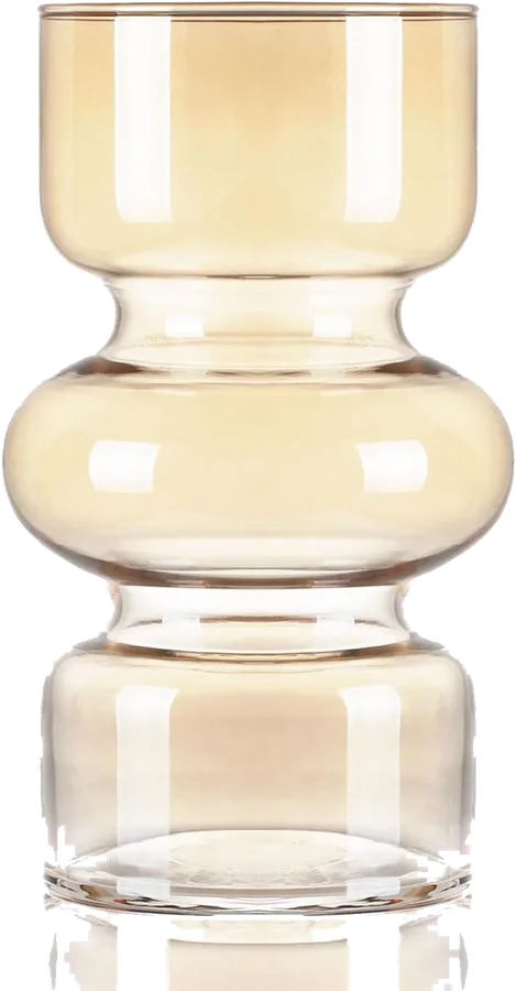 VanEnjoy Hydroponic Glass Vase