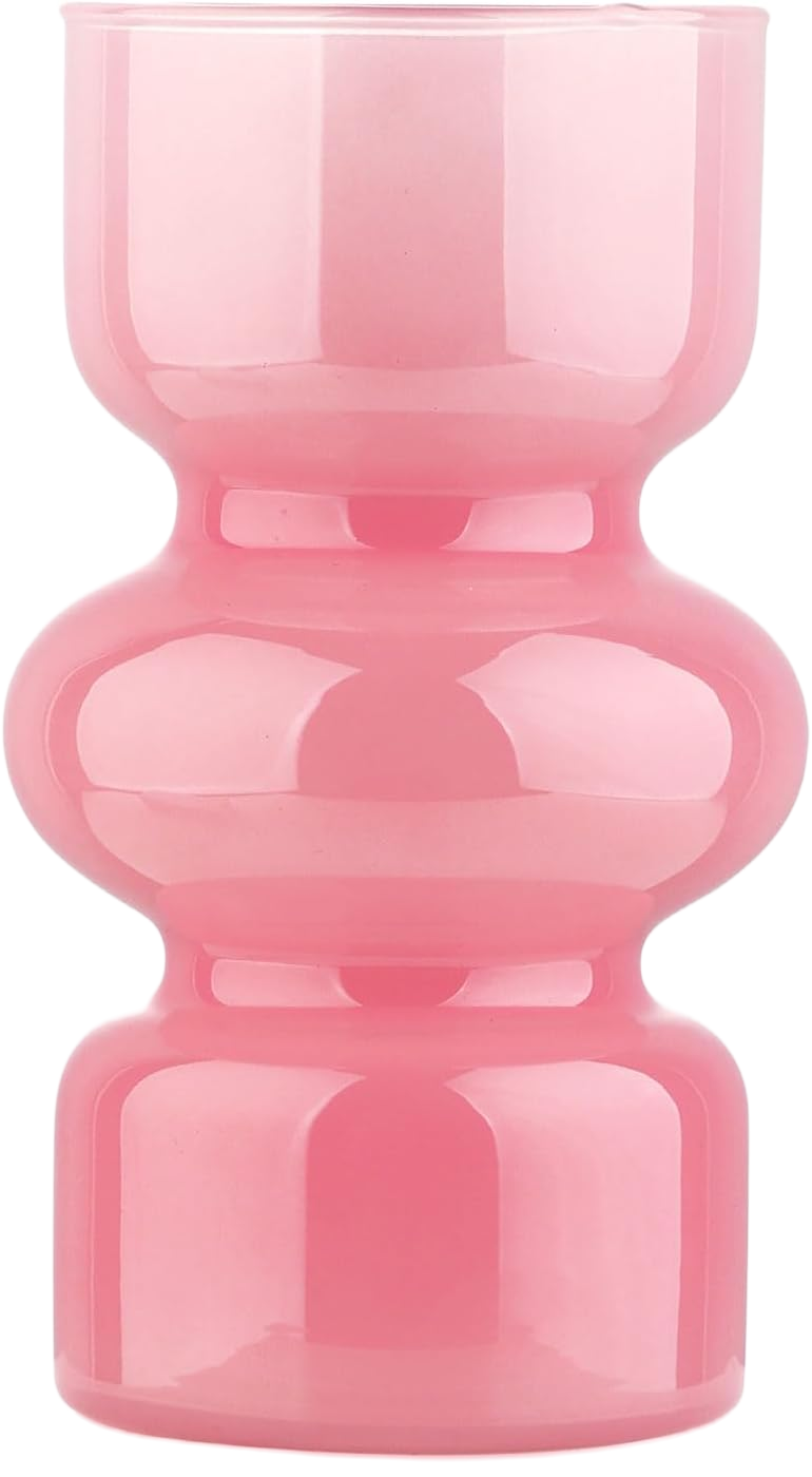 VanEnjoy Hydroponic Glass Vase