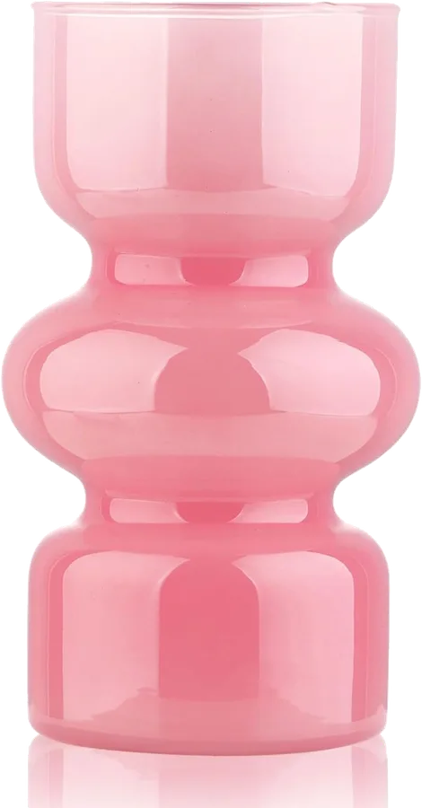 VanEnjoy Hydroponic Glass Vase
